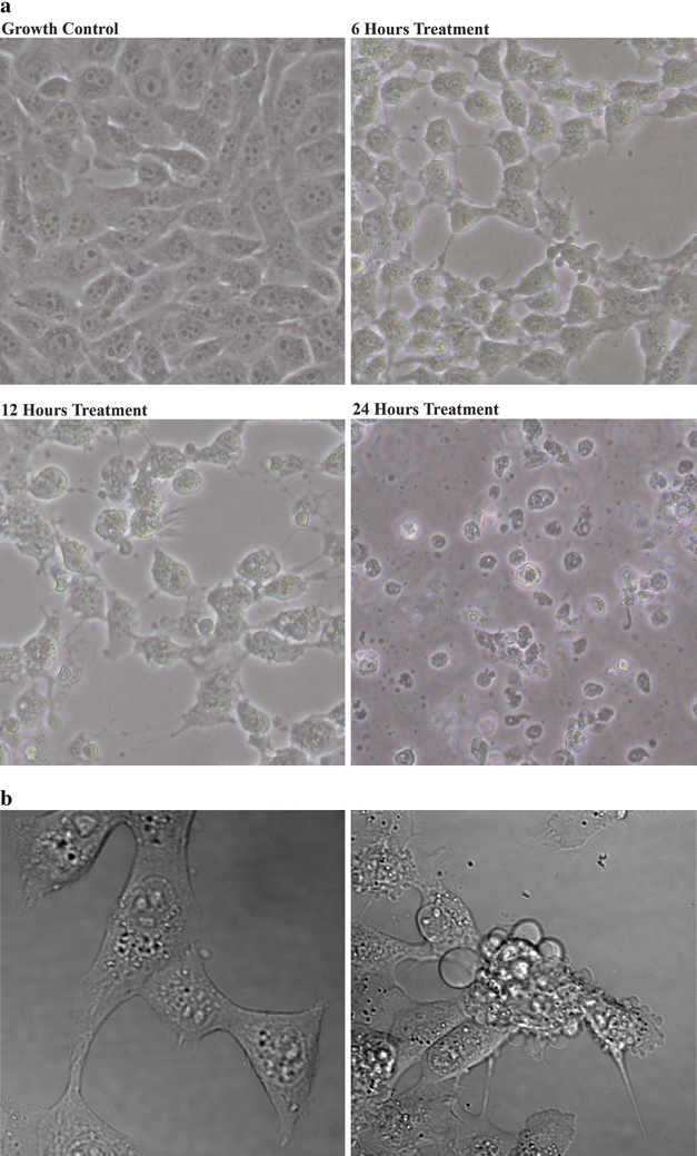 Fig. 6