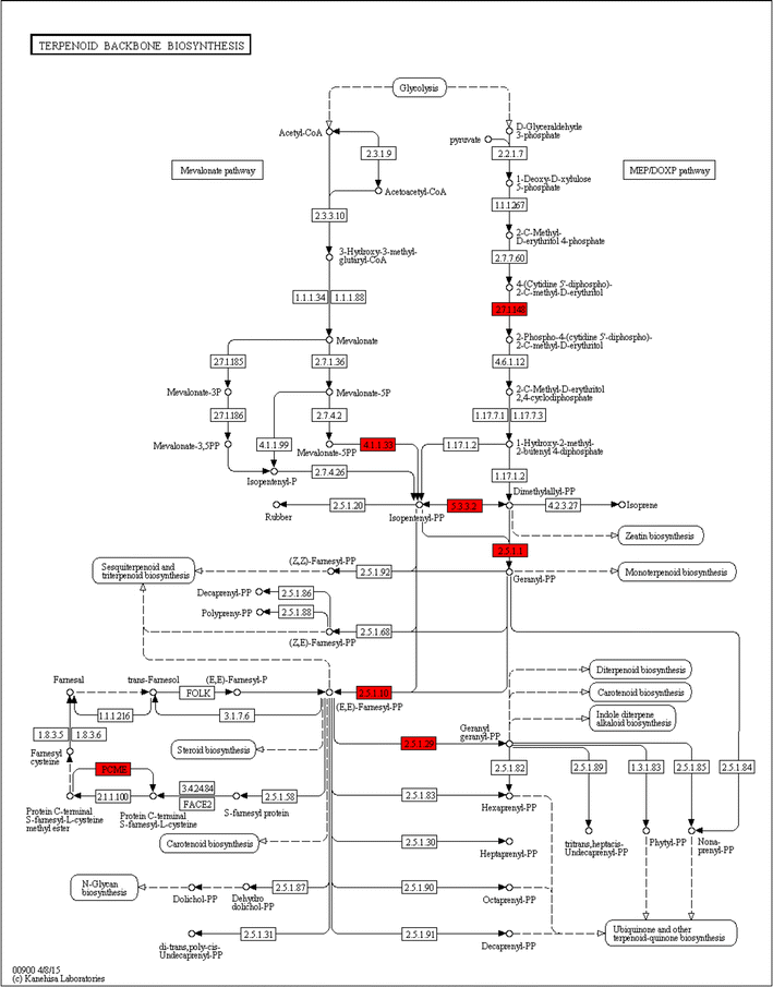 Fig. 3