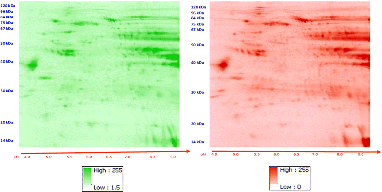 Fig. 4