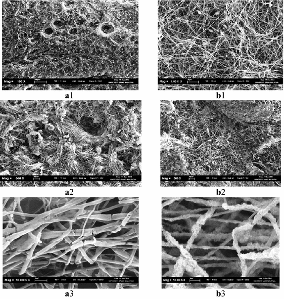 Fig. 6