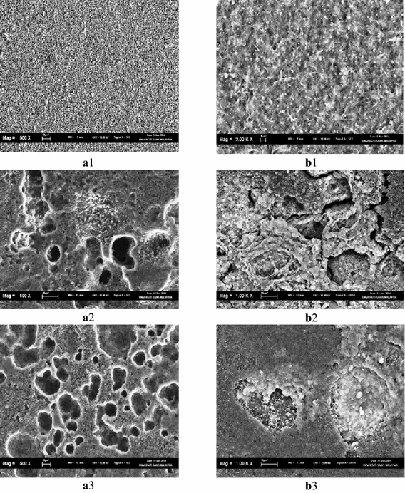 Fig. 7