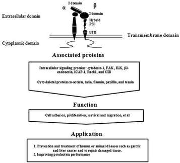 Fig. 1