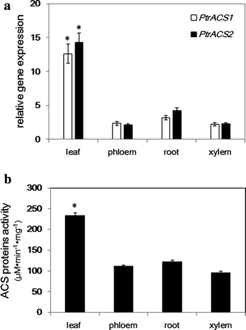 Fig. 7