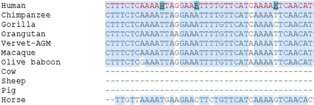 Fig. 3