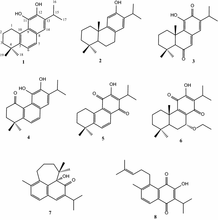 Fig. 1