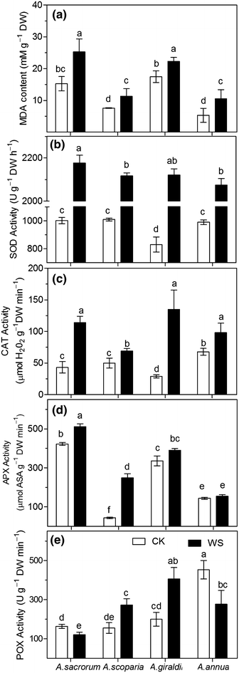 Fig. 7