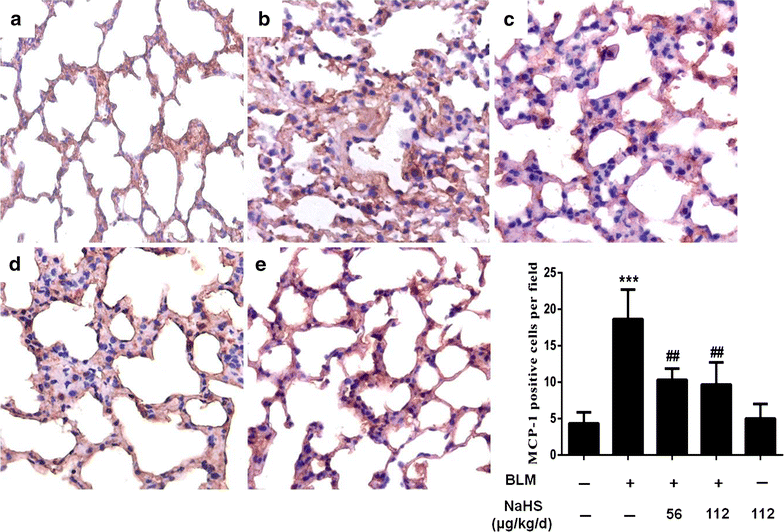 Fig. 9