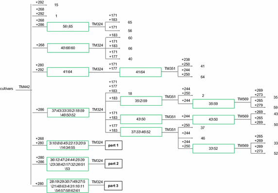 Fig. 2