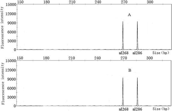 Fig. 5