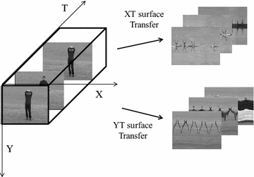 Fig. 1