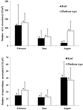 Fig. 3