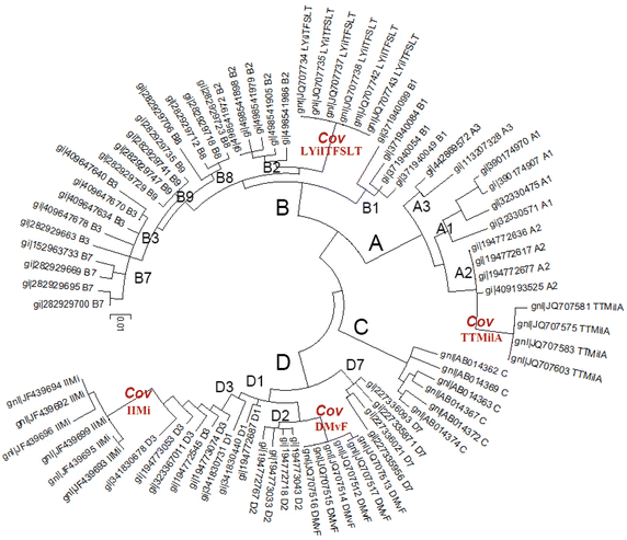 Fig. 2