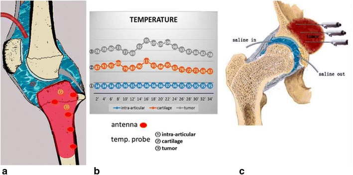 Fig. 3