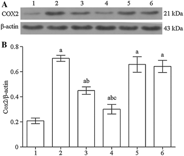 Fig. 4