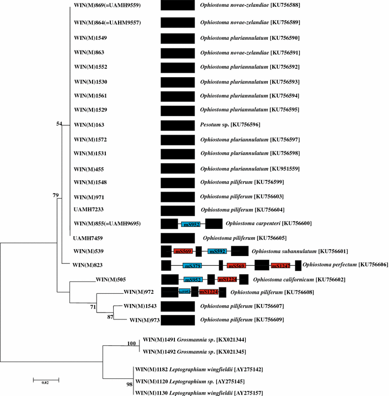 Fig. 2