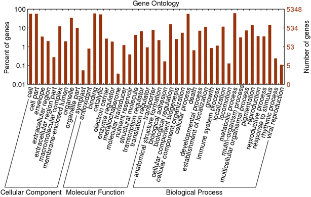 Fig. 6