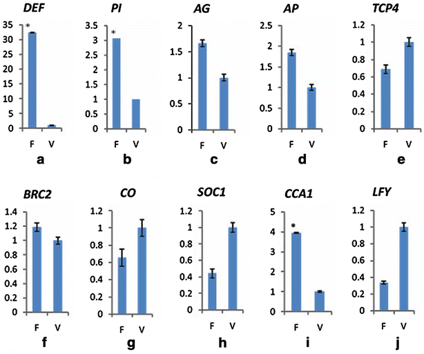 Fig. 8