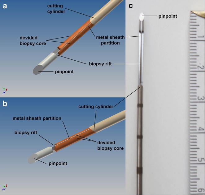 Fig. 1