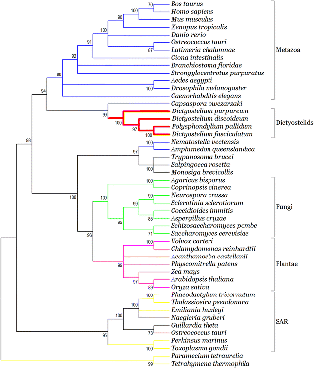 Fig. 3