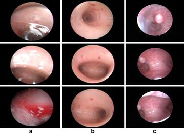 Fig. 1