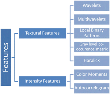 Fig. 6