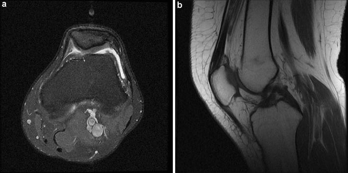 Fig. 5