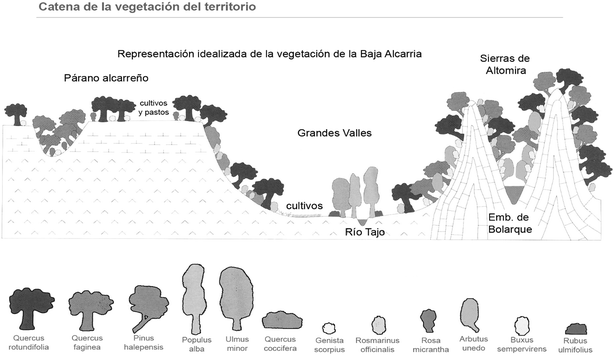 Fig. 4