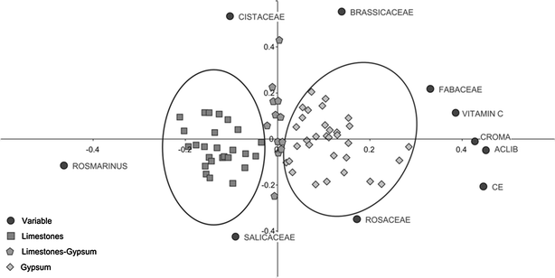 Fig. 8