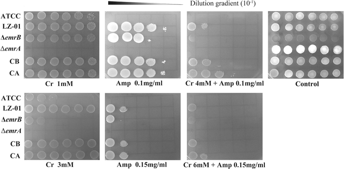 Fig. 2