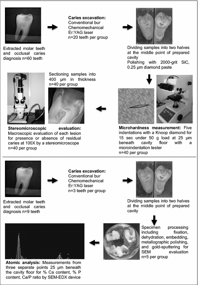 Fig. 1