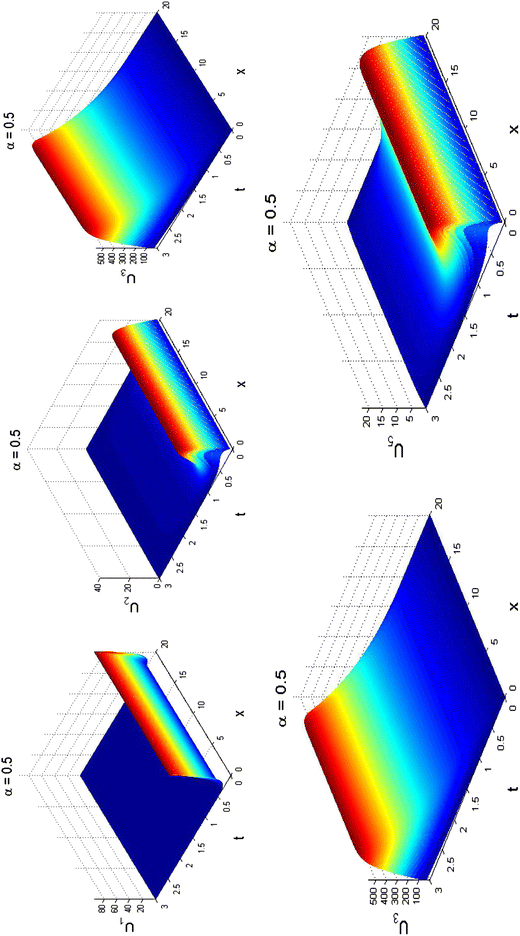 Fig. 5