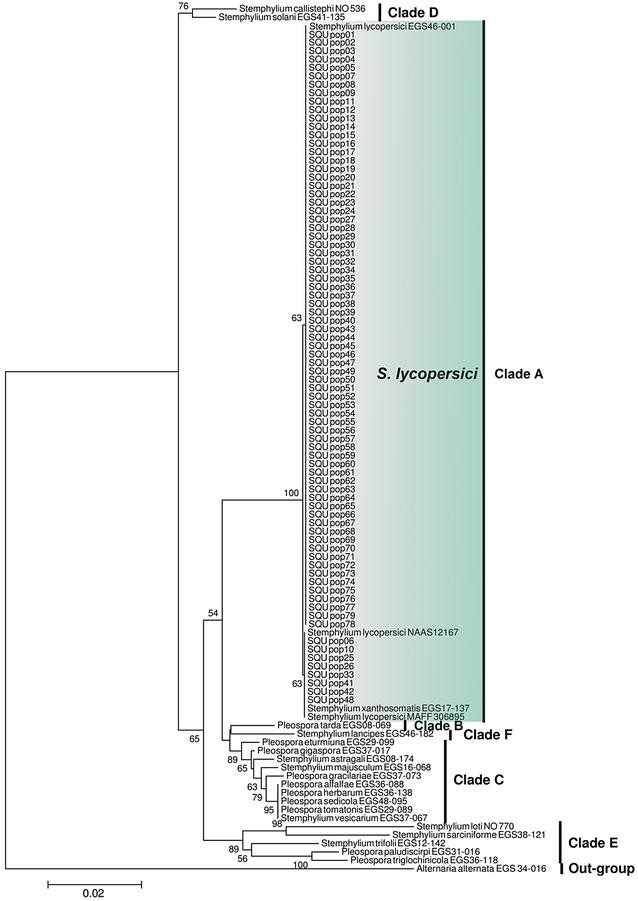 Fig. 1