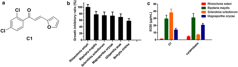 Fig. 1