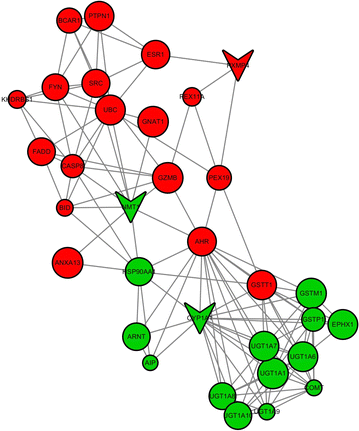 Fig. 6