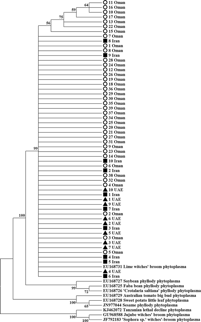 Fig. 3