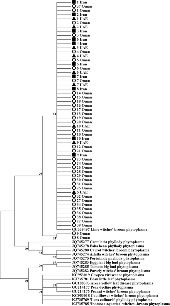 Fig. 4