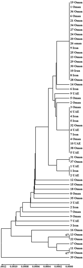 Fig. 5