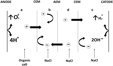 Fig. 1