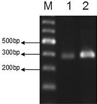 Fig. 5