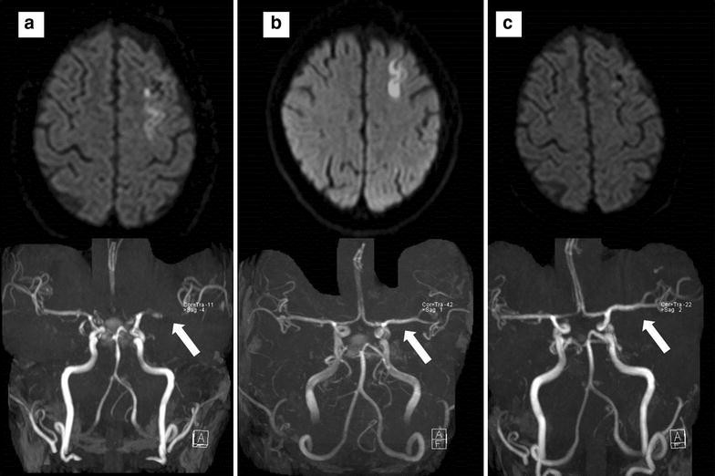 Fig. 2