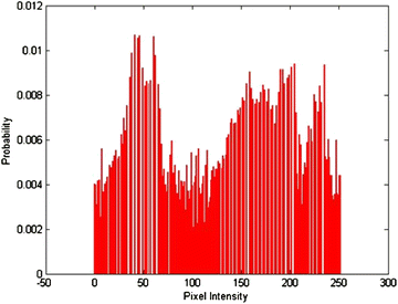 Fig. 4