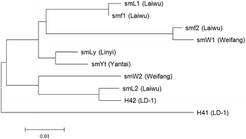 Fig. 3