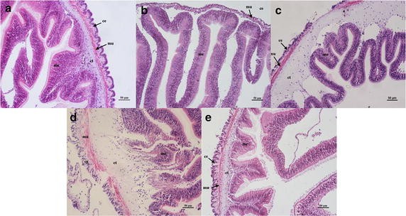 Fig. 4