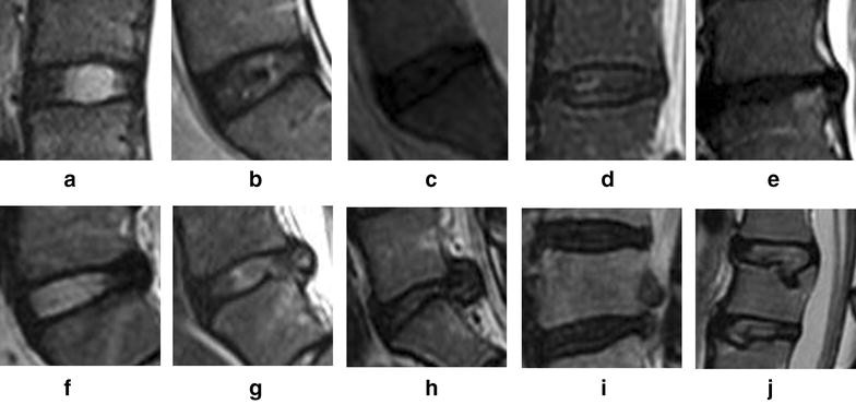 Fig. 1