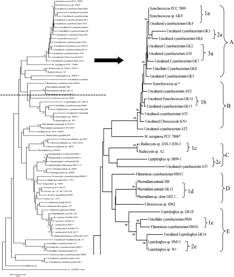 Fig. 2