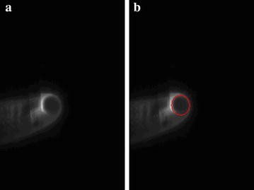 Fig. 8