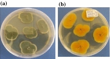 Fig. 3