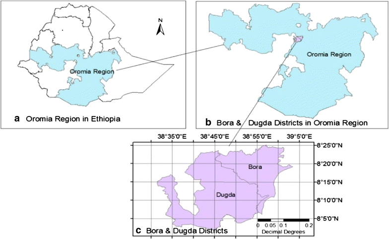 Fig. 1