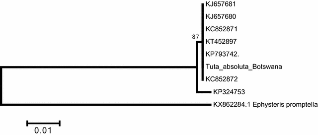 Fig. 9