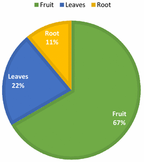 Fig. 4